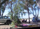 2013 02 06 Dongara nach Palmyra 020